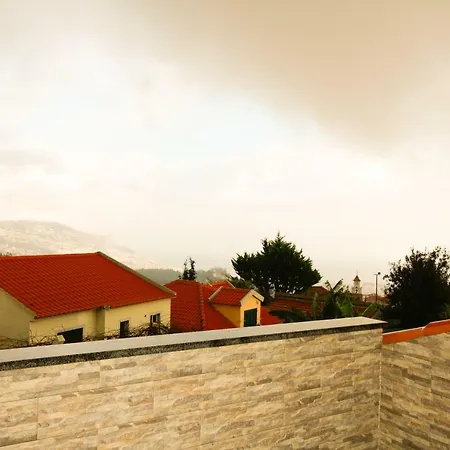 Passion By Analodges *