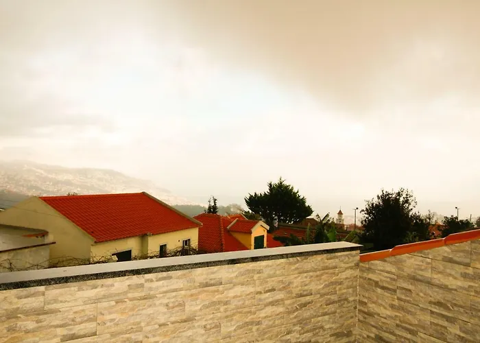 Passion By Analodges *